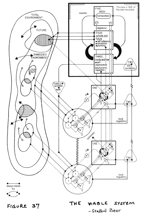 A diagram of the Viable System Model