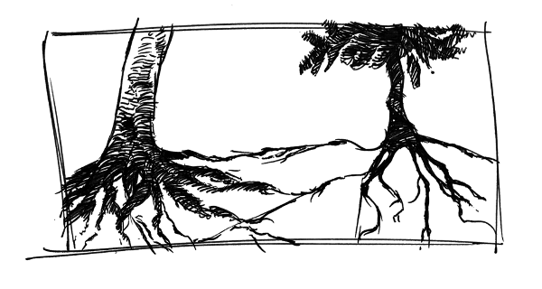A drawing of tree roots connecting to each other